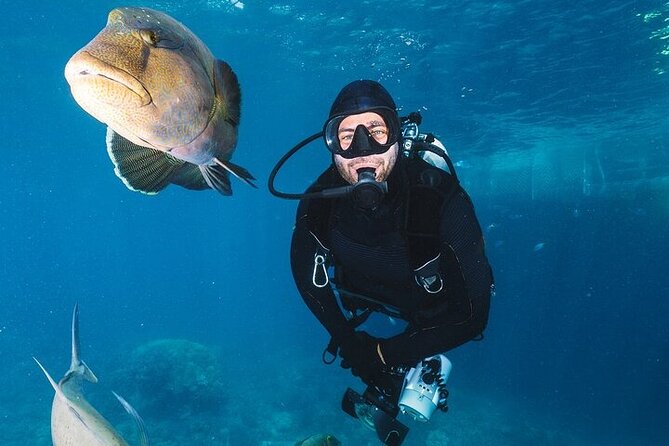 Professional Diver Two Stops Dives & Lunch, transfer–Hurghada - The second stop: more time to settle in