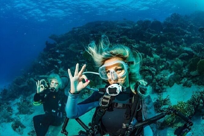 Professional Diver Two Stops Dives & Lunch, transfer–Hurghada - Equipment and safety: what is included