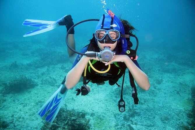 Professional Diver Two Stops Dives & Lunch, transfer–Hurghada - How good is the value at the advertised $5 price?