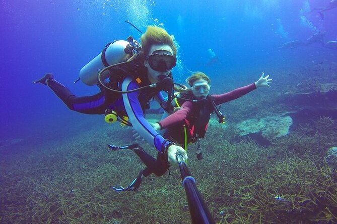 Professional Diver Two Stops Dives & Lunch, transfer–Hurghada - Group size, atmosphere, and the human touch