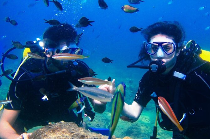 Professional Diver Two Stops Dives & Lunch, transfer–Hurghada - The first underwater session: an introduction for beginners