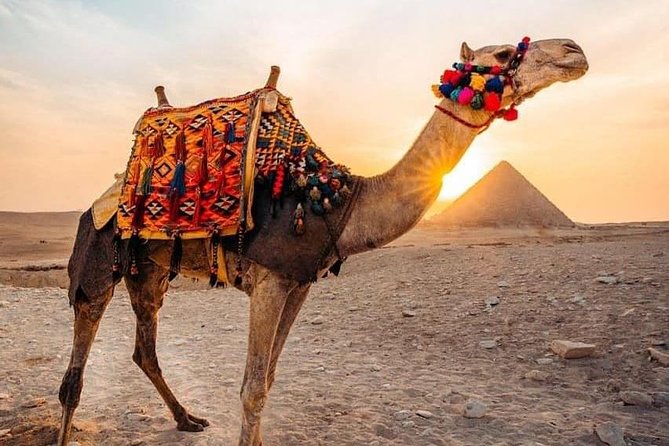 Pyramids camel ride - Key points to know before you book