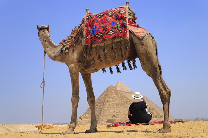 Pyramids of Giza, Sphinx and Egyptian Museum Day Tour - Meeting the Great Sphinx and stopping for lunch