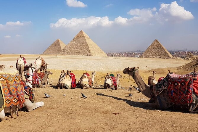 Pyramids of giza ,Sphinx,riding camel and driving a quad bick ATV. - The desert viewpoint and the thirty-minute camel ride