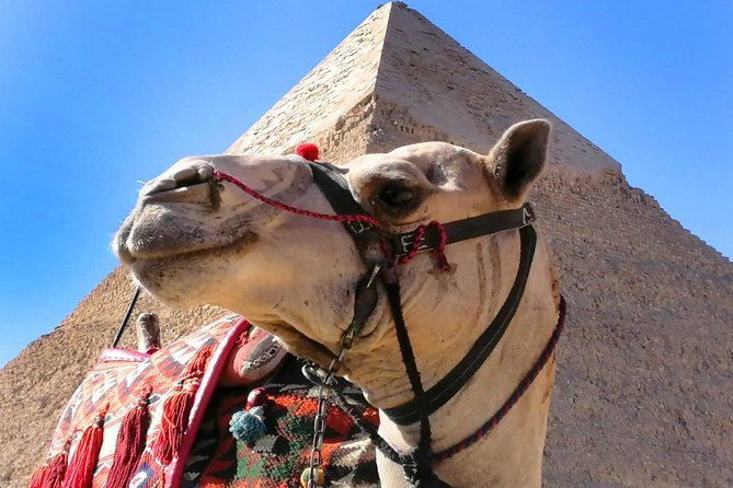 Pyramids of Giza, the Sphinx, the Egyptian Museum. - Khan el-Khalili adds modern Cairo to the day