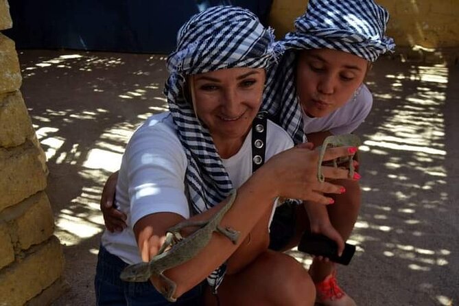 Quad 3 hours VIP safari adventure Hurghada - How the small group changes the experience