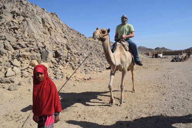 Quad Bike 3 hours - Bedouin tea, a camel ride, and a slower pause