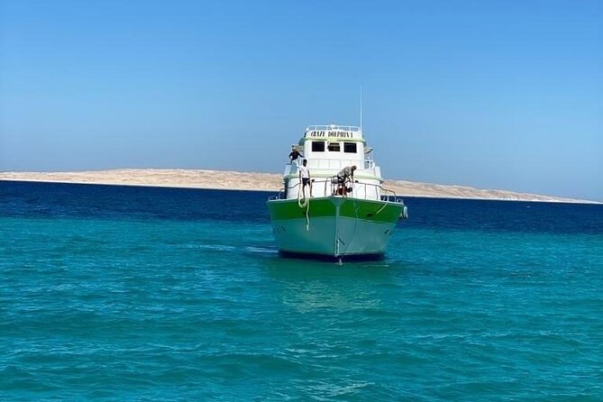Red Sea Diving Trip from Hurghada: Beginner to Advanced Divers - Starting at 8:00 am in Hurghada