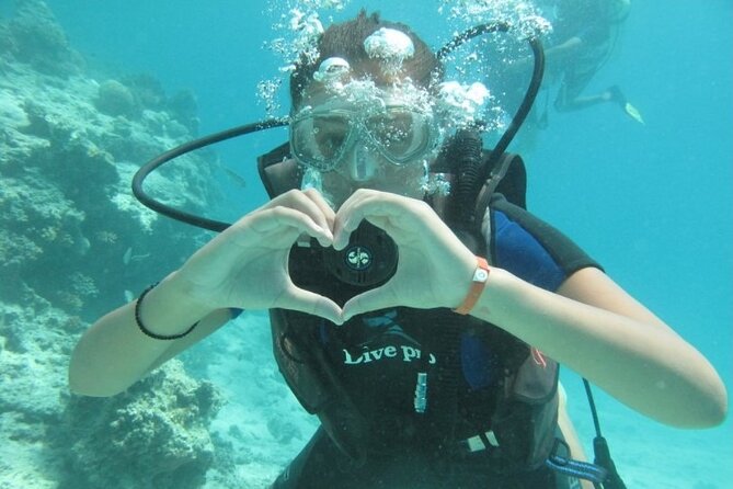 Red Sea Diving Trip from Hurghada: Beginner to Advanced Divers - Two open-water stops, two different ways to enjoy the reef