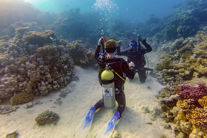 Red Sea Diving Trip from Hurghada: Beginner to Advanced Divers - Giftun Island and the optional beach stop