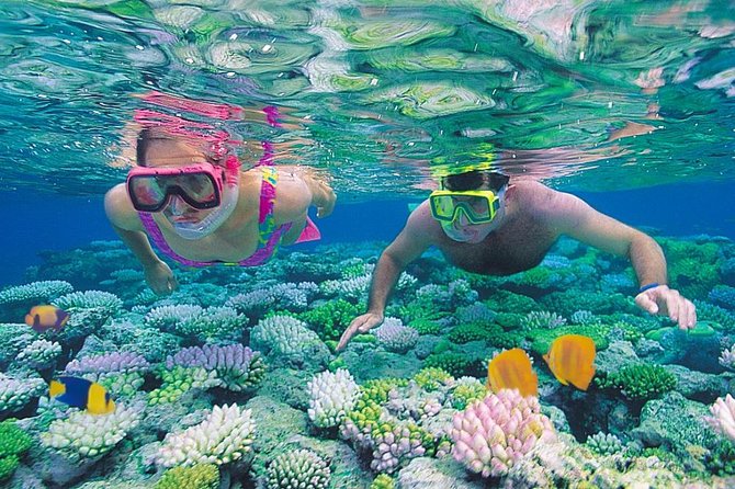 Red Sea Snorkeling from Hurghada - The Second Reef and the Question of Coral Quality