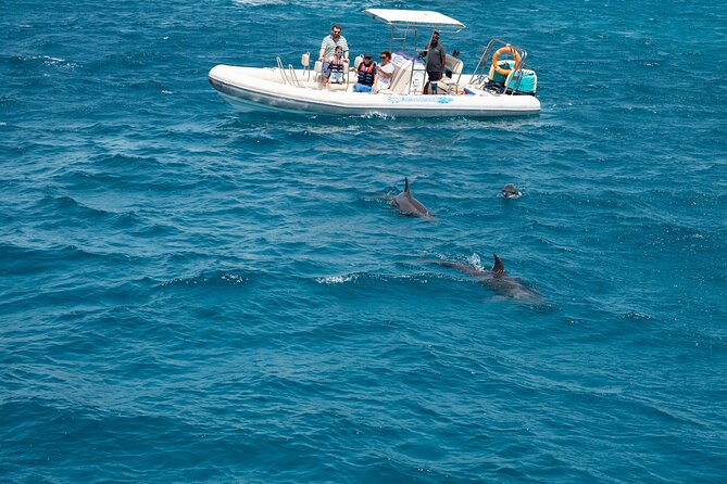 Red Sea Wonders Dolphin House Snorkeling Cruise & Lunch_ Hurghada - The crew makes a real difference