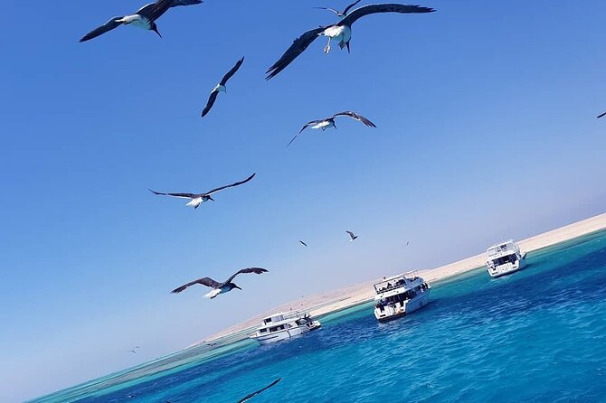 Relax and Snorkel at Orange Island Sea Trip In Hurghada - Who will enjoy this Orange Bay trip?