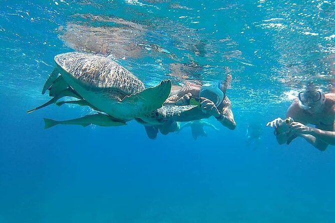 Relax and Snorkel at Orange Island Sea Trip In Hurghada - Two snorkeling stops on the Red Sea