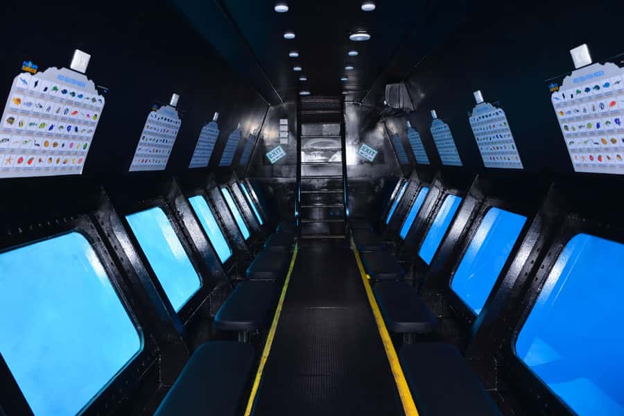 Safaga/Makadi Bay: Panorama Submarine with Snorkeling Tour - Five meters below the surface at the underwater windows