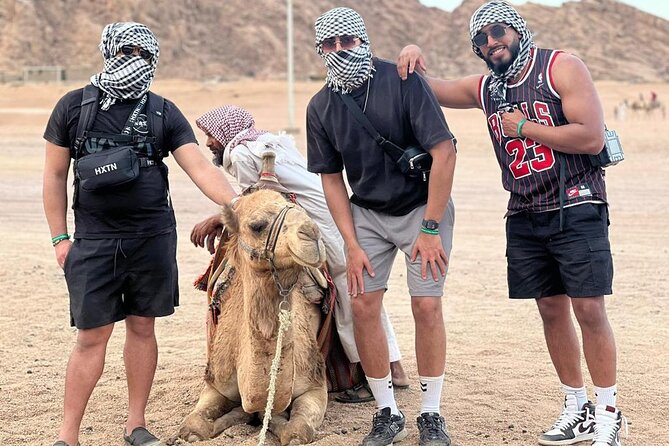 Safari 5 in 1 Quads, Camels, Show, Dinner & Star Gazing in Sharm El Sheikh - What this 5-in-1 Sharm El Sheikh safari is really like