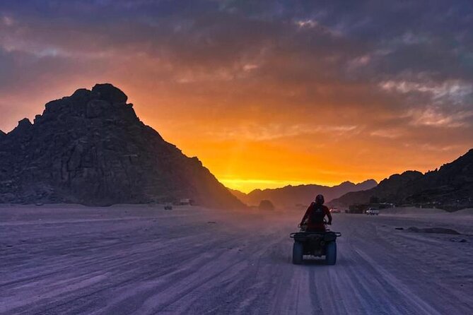 Safari 5 in 1 Quads, Camels, Show, Dinner & Star Gazing in Sharm El Sheikh - A short camel ride and Bedouin tea