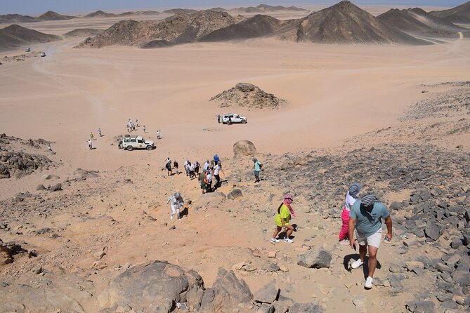 Safari ATV, Buggy, Camel, Bedouin Dinner and Hurghada Show - Tea, the pharmacy, and Bedouin daily life