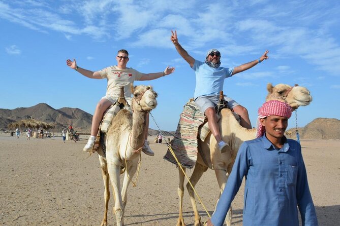 Safari ATV, Buggy, Camel, Bedouin Dinner and Hurghada Show - Dinner, belly dancing, and the fire show