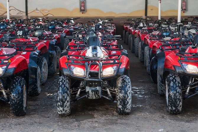 Safari ATV Quad ride Camel ride & Dinner With Show - Hurghada - The camel ride and the slower side of the day