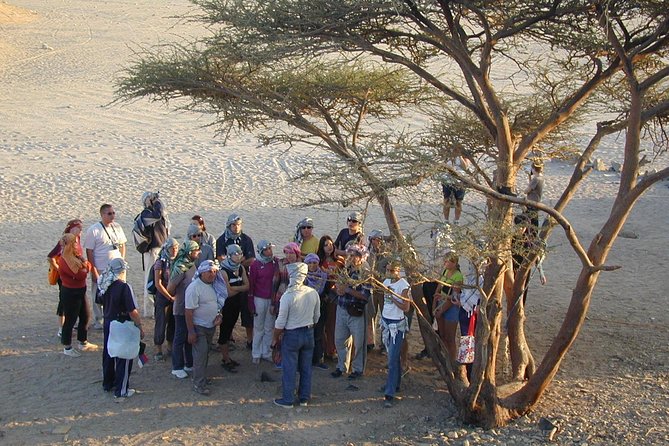 Safari ATV Quad ride Camel ride & Dinner With Show - Hurghada - Leaving Hurghada for the open desert