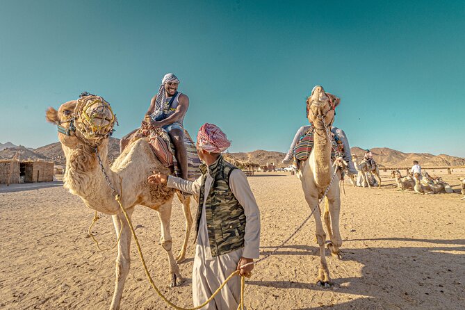 Safari Full Day ATV Quad, Buggy, Jeep, Camel in Egypt - Hurghada - Dinner and an Egyptian show close the evening