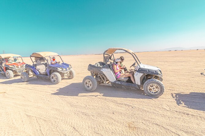 Safari Full Day ATV Quad, Buggy, Jeep, Camel in Egypt - Hurghada - Who will enjoy this most?