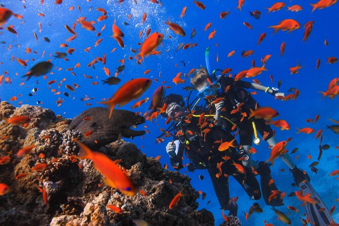 Safe Try dive-Personal instructor, 1:1 experience, Top boat - A 27-meter boat with room to breathe