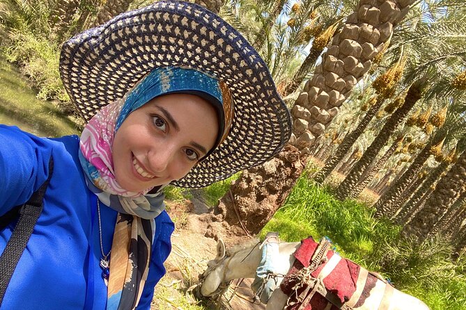 Saqqara, Dahshur - 10%to stray dogs and cats - A private car makes the long day easier