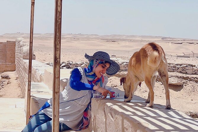 Saqqara, Dahshur - 10%to stray dogs and cats - Stray dogs, cats, and the tour’s charitable side