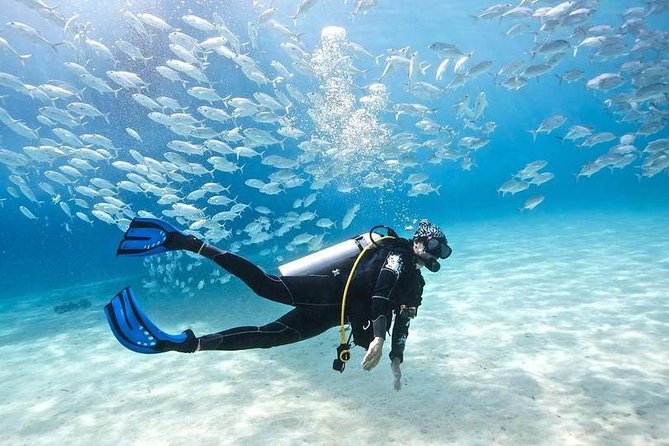 Scuba Diving Full Day Boat Trip for beginners With Lunch & Transfer – Hurghada - Getting settled on the Red Sea boat