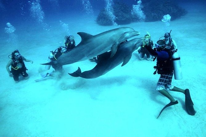 Scuba Diving Full Day Boat Trip for beginners With Lunch & Transfer – Hurghada - What the instructors do well, and where to stay alert