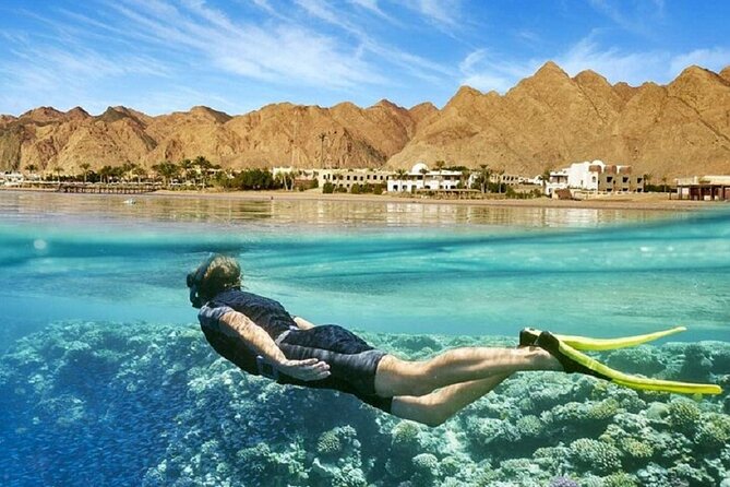 Sea Trip Orange Bay Island & Professional Scopa Diving -Hurghada - Safety and beginner suitability