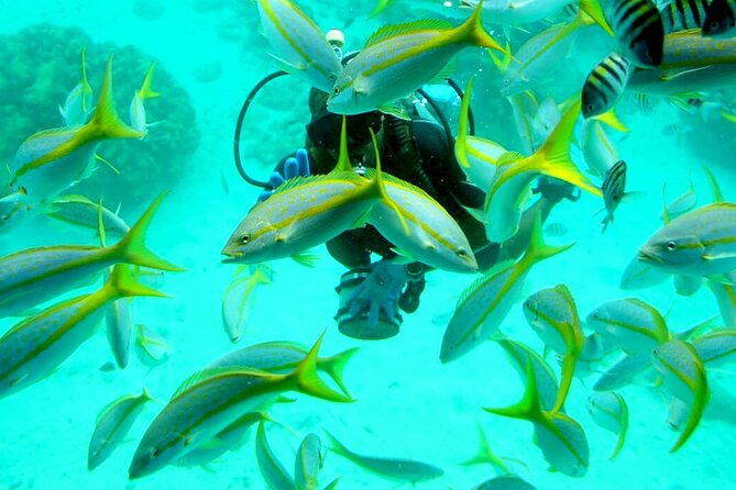 Semi-Submarine 2-hours Snorkeling with Transfer from Hurghada - The snorkeling stop adds real value