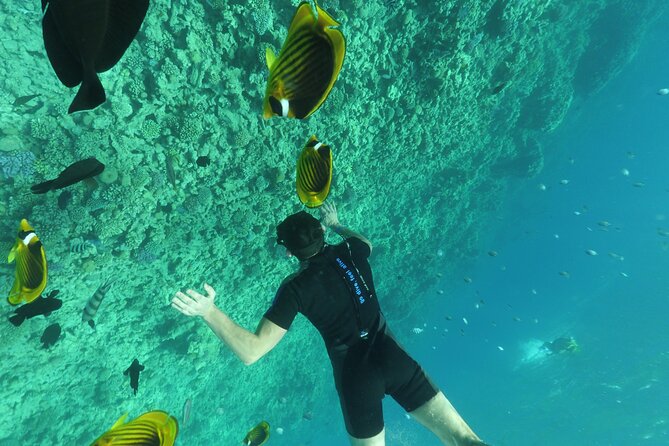 Semi-Submarine, Snorkeling Sea Trip With Transfer – Hurghada - The 45-minute semi-submarine view
