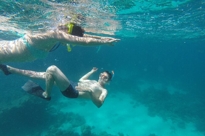 Semi-Submarine, Snorkeling Sea Trip With Transfer – Hurghada - The fish-feeding show at the underwater windows