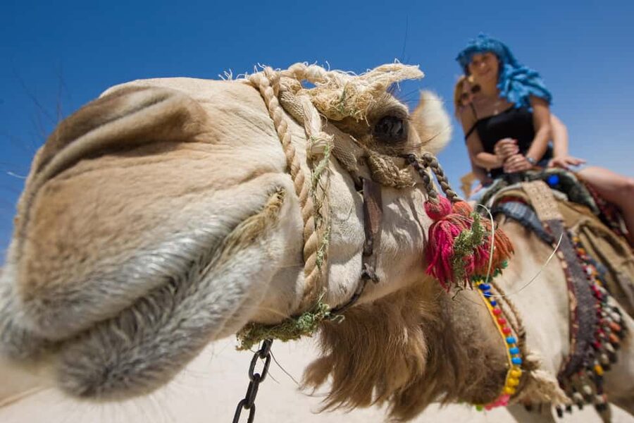 Sharm El-Sheikh: Camel Riding, Stargazing, BBQ Dinner & Show - Making Bedouin bread in the desert