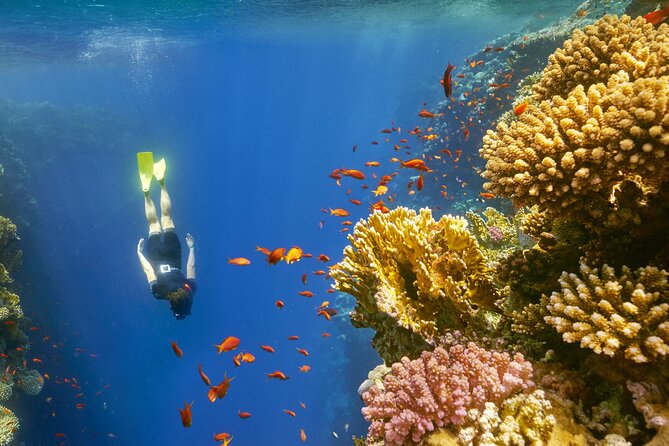 Sharm El Sheikh: Colored Canyon Jeep Tour with Blue Hole & Dahab - Is $25.99 good value?