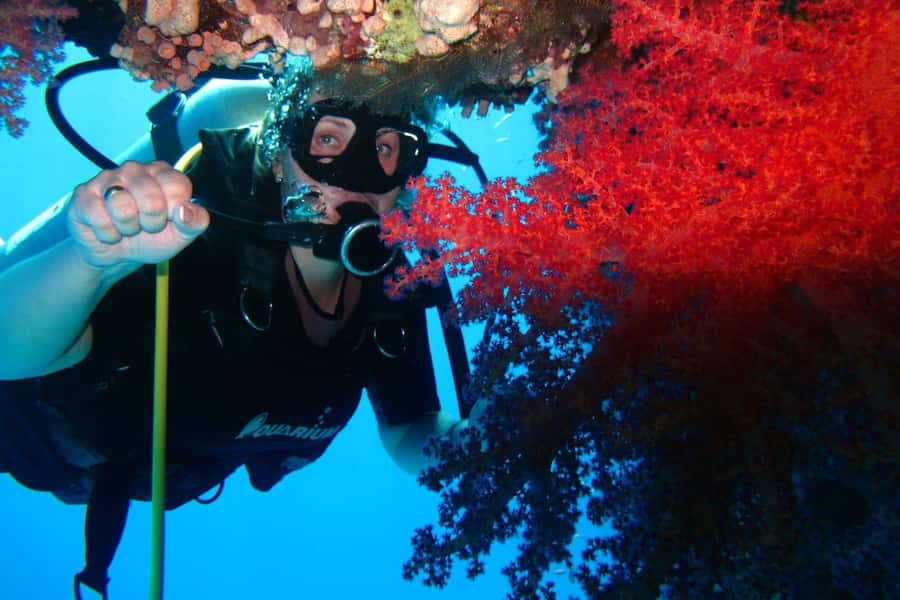 Sharm El Sheikh: Day sail to White island and Ras Mohamed - Lunch on deck, with Egyptian dishes