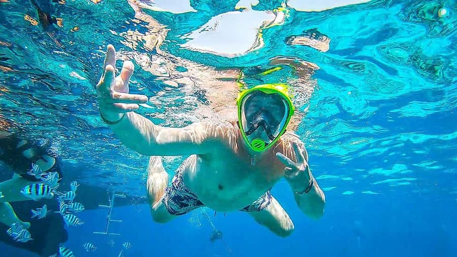 Sharm El Sheikh: Day sail to White island and Ras Mohamed - The return to Sharm El Sheikh
