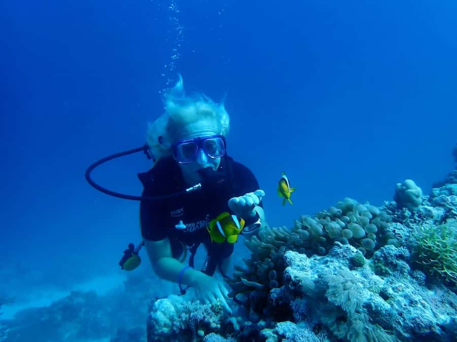 Sharm El Sheikh: Day sail to White island and Ras Mohamed - What the yacht day feels like
