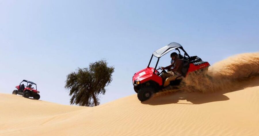 Sharm El-Sheikh: Desert Buggy Safari Adventure - What the $29 price really covers