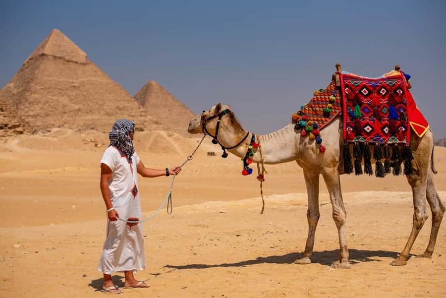 Sharm El-Sheikh: Full-Day Tour of Cairo and Pyramids by Bus - Lunch, demonstrations, and shopping stops