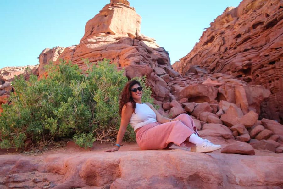 Sharm El-Sheikh: Jeep Adventure to Blue Hole, Canyon & Dahab - The jeep safari and the cost of a busy day