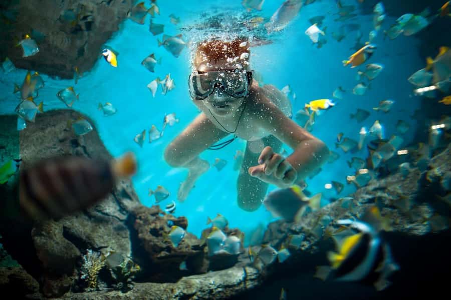 Sharm El Sheikh: Luxury boat Cruise with Snorkeling & Lunch - White Island and the second swim