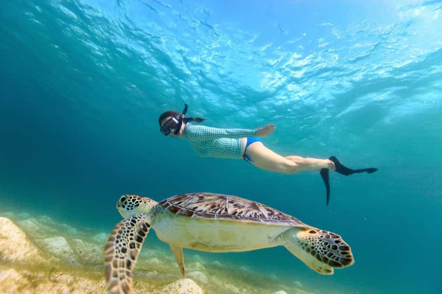 Sharm El Sheikh: Luxury boat Cruise with Snorkeling & Lunch - The return sail and the real pace of the day