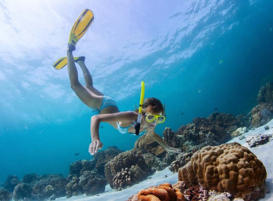 Sharm El Sheikh: Luxury boat Cruise with Snorkeling & Lunch - Staff, service, and the mood on board