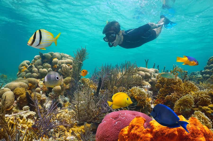 Sharm El Sheikh: Luxury boat Cruise with Snorkeling & Lunch - From your hotel to Watanya Marina