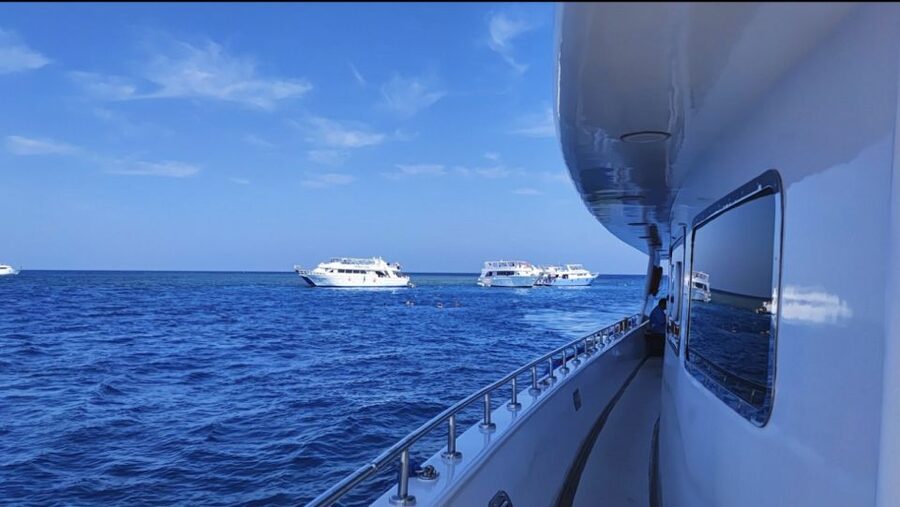 Sharm El-Sheikh: Luxury Ras Mohammed & White Island Cruise - First snorkeling stop: coral, fish, and clear water