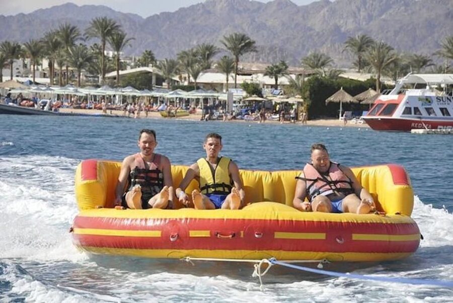 Sharm El-Sheikh: Parasailing, Camel Ride, Dive & Quad Bike - A camel ride with a different pace